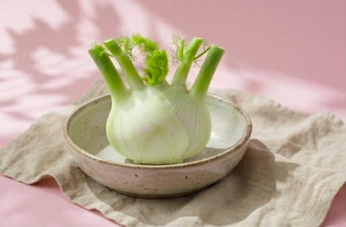 Fenchel als Inhaltsstoff des LØVETANN Periodenbalsams