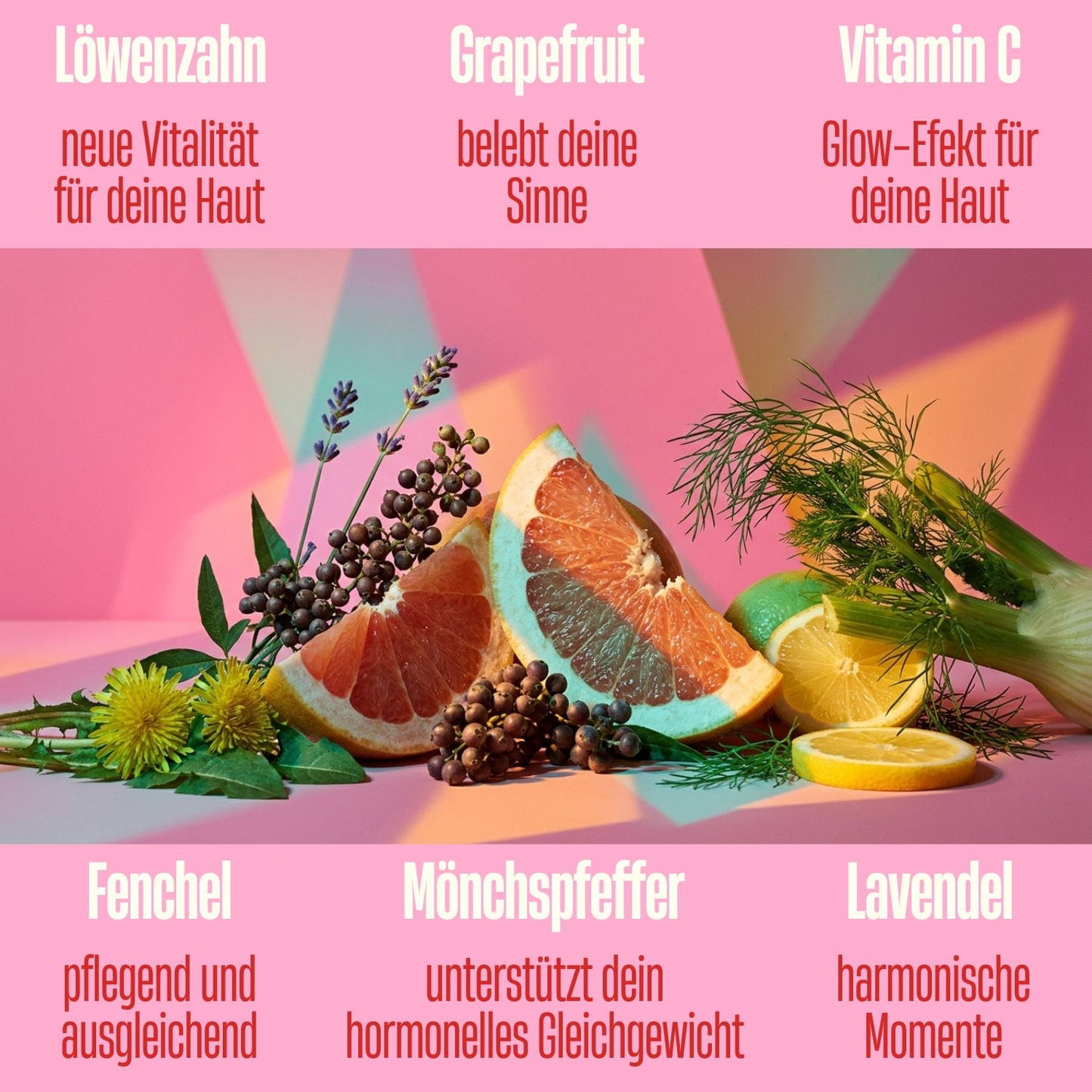 Lovetann Periodenbalsam Creme - Inhaltsstoffe natürlich vegan Löwenzahn Mönchspfeffer Fenchel Lavendel Vitamin C Grapefruit